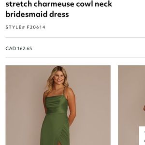 David’s Bridal bridesmaids dress